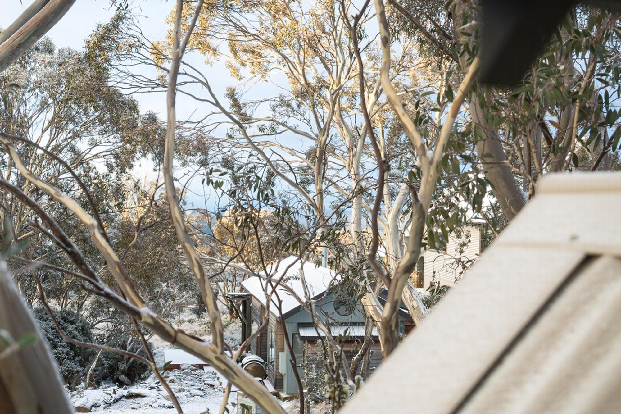 Holiday home Cosy 15 Min Drive From Mount Hotham